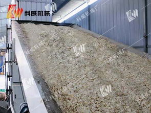 高效農副產品干燥新選擇——解析鄭州科威大蒜烘干機的自動鋪料技術