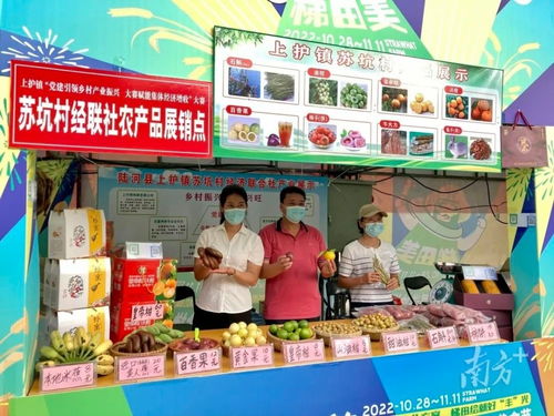 賞梯田美景，購地道風物 陸河上護鎮農副產品展銷大賽火熱進行